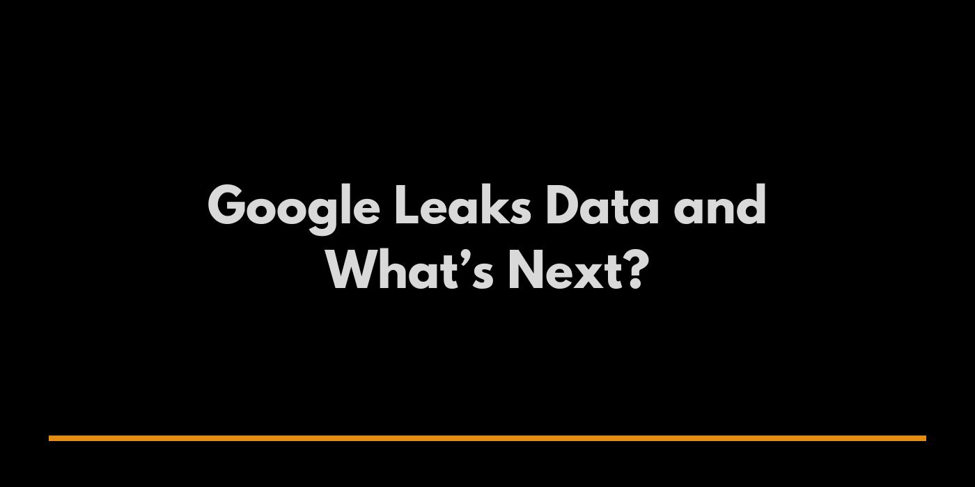 Google Leaks Data